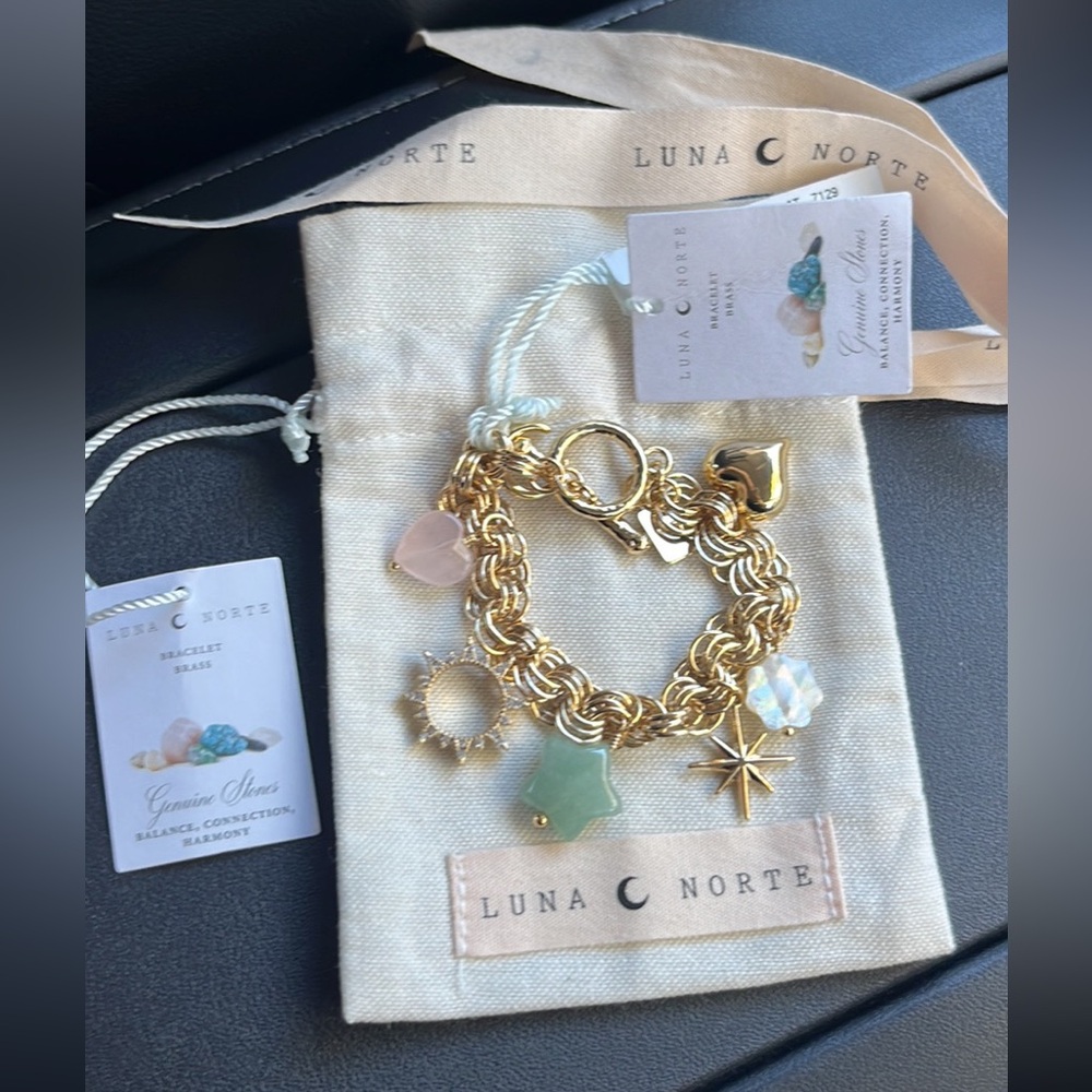 Luna Norte Charm Bracelet (Gold color): BRAND NEW